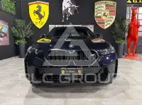 2024 BMW X6