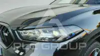 2024 BMW X6