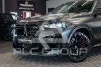 2024 BMW X6