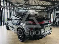 2024 BMW X6