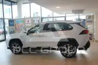2024 Suzuki Across