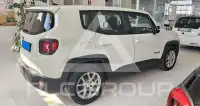 2024 Jeep Renegade