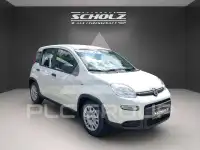 2024 Fiat Panda