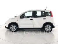 2024 Fiat Panda