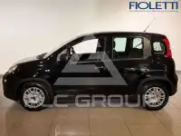 2024 Fiat Panda