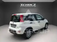 2024 Fiat Panda