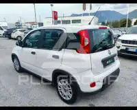2024 Fiat Panda