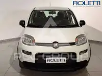 2024 Fiat Panda