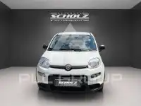 2024 Fiat Panda