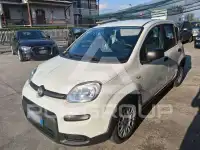 2024 Fiat Panda