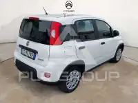 2024 Fiat Panda