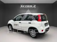 2024 Fiat Panda