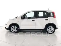2024 Fiat Panda