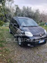 2024 Fiat Panda