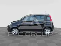 2024 Fiat Panda