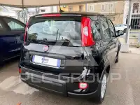 2024 Fiat Panda