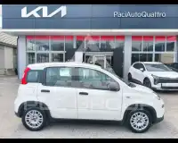 2024 Fiat Panda