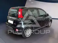 2024 Fiat Panda