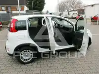 2024 Fiat Panda