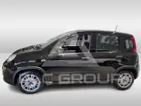 2024 Fiat Panda