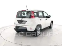 2024 Fiat Panda
