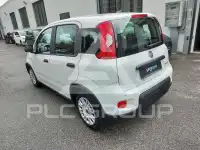 2024 Fiat Panda