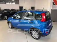 2024 Fiat Panda