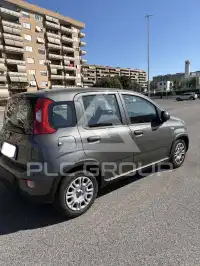 2024 Fiat Panda