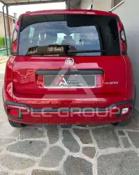2024 Fiat Panda