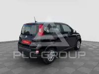 2024 Fiat Panda
