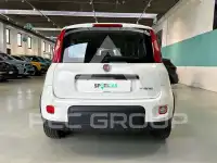 2024 Fiat Panda