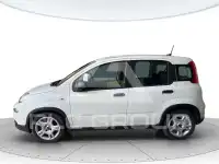 2024 Fiat Panda