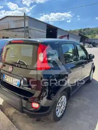 2024 Fiat Panda