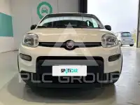 2024 Fiat Panda