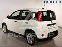 2024 Fiat Panda