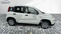 2024 Fiat Panda