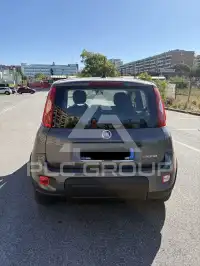 2024 Fiat Panda