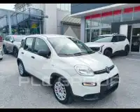 2024 Fiat Panda
