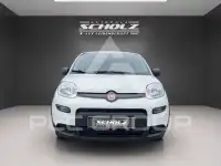 2024 Fiat Panda