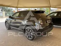 2024 Fiat 600