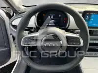 2024 Fiat 600