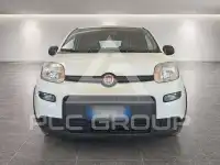2024 Fiat Panda