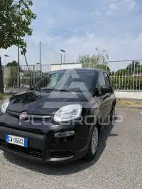 2024 Fiat Panda