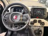 2024 Fiat Panda