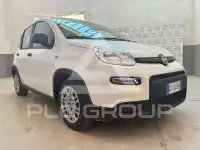 2024 Fiat Panda