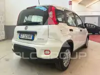 2024 Fiat Panda