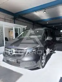 2024 Mercedes Benz V 220
