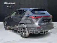 2024 Lexus NX300