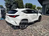 2024 Lexus NX300