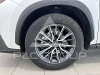 2024 Lexus NX300